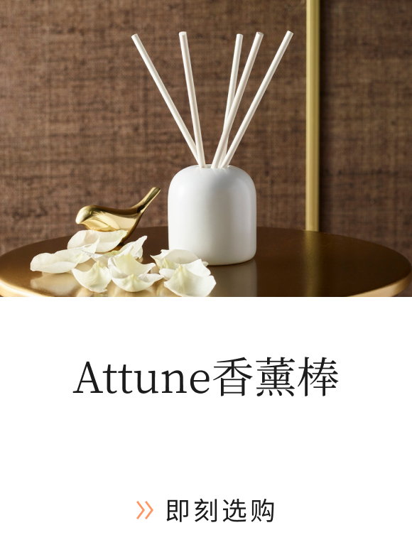 Marriott Attune Scent Sticks.